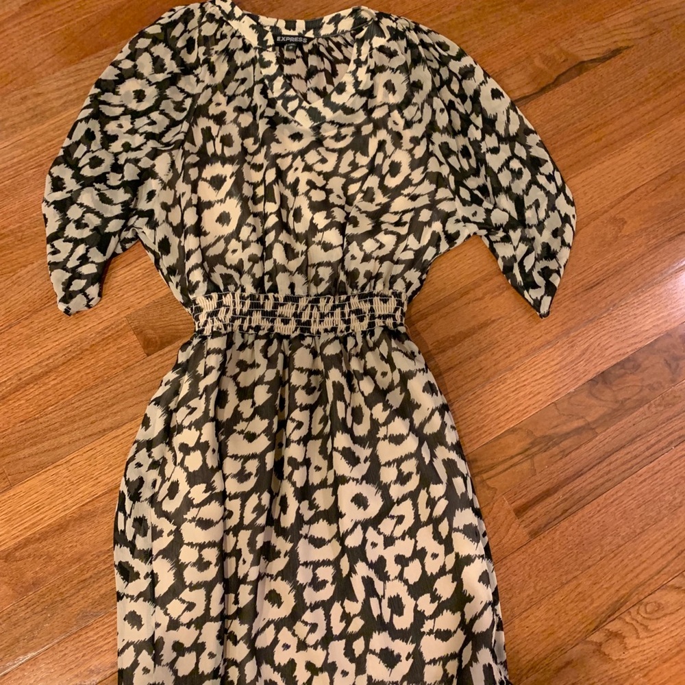 Express Dress